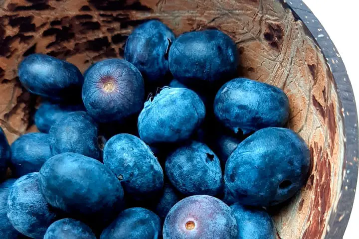 Fresh blueberries in a coconut bowl