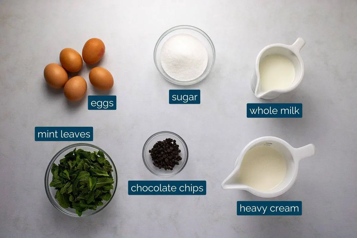 Mint ice cream ingredients