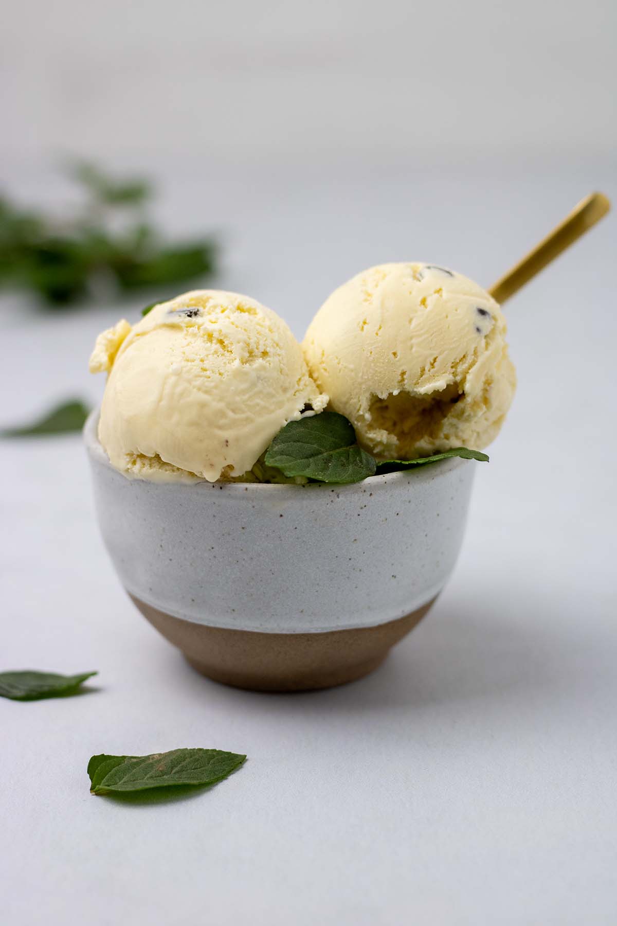 mint ice cream in a bowl